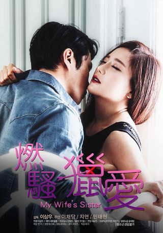 解密电视剧50集播放