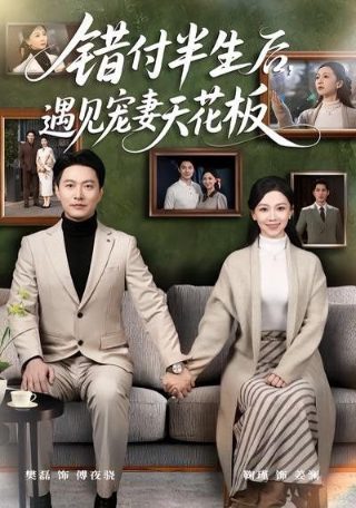 卧底费瑞崛起主演是谁