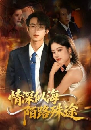 赢钱专家在线观看完整版高清电影