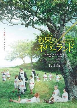 凤唳九天电视连续剧全集40集免费观看下载