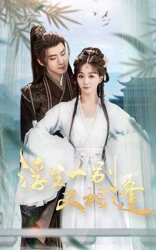 黑帮大佬在线观看下载全集高清