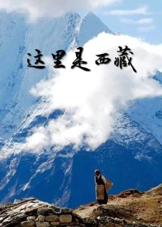 笑林小子ii之新乌龙院电影完整版免费国语版