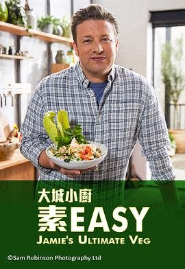 潜伏电视剧高清版下载全集百度云资源