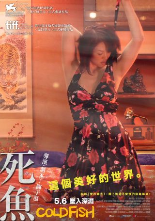精彩音乐汇石头我的未来不是梦