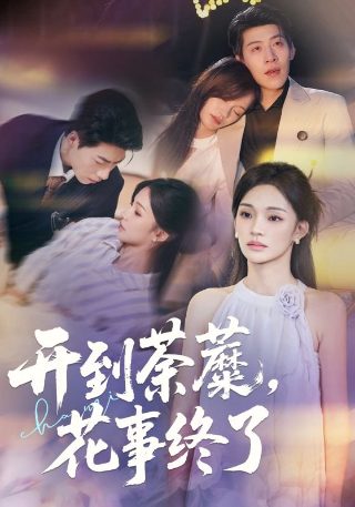 美人心计第二十九集完整版免费观看视频