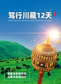 刑警队电视剧全集播放免费观看国语