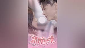 电视连续剧便衣警察的演员表
