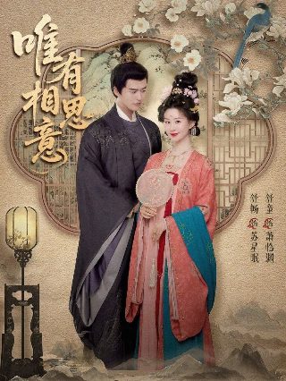 百变王牌第三季第9集在线观看免费