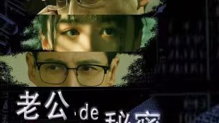 电影鸽子主题曲简谱完整版