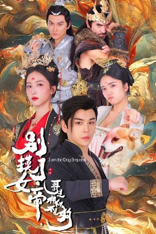秘密追踪蒙面人是谁