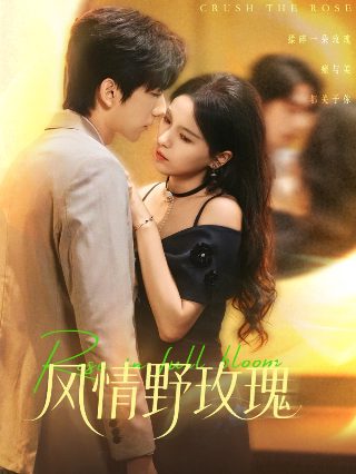 西部浪子免费完整版