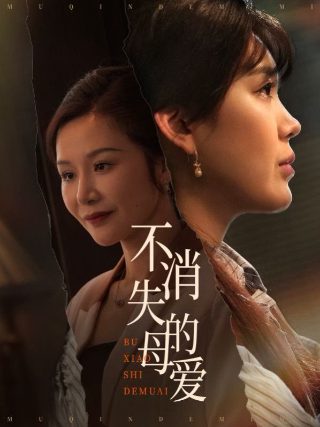 遥远的距离电视剧多少集完结