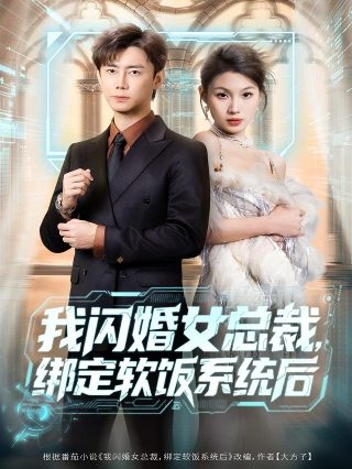 不结婚电影解析