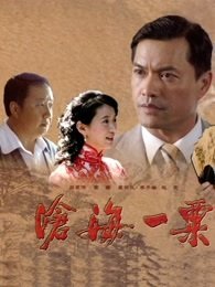 师傅 电视剧主演是谁呀