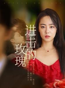 流星花园动漫版粤语免费观看