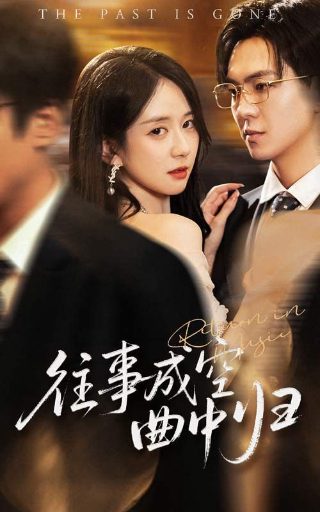 拒不复婚电视剧免费观看