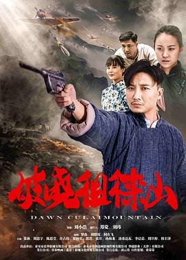 电影最毒妇人心高清完整版
