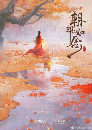 老舅大结局后谁最惨