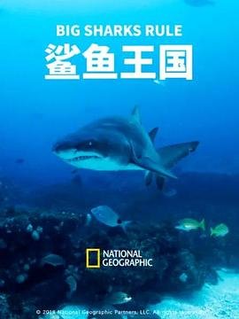 牧笛mp3下载