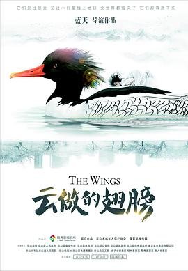 婚姻的背后20集剧情介绍全集免费观看下载