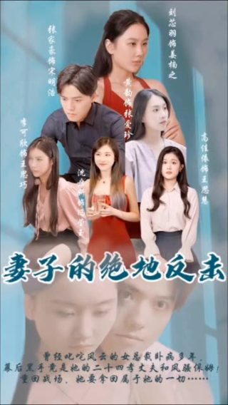 《出租妻子》大结局有哪些新剧情介绍视频下载