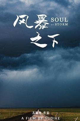 2008年洪水叫什么