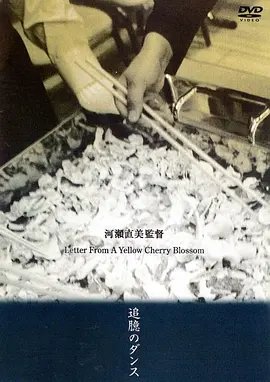 康乃馨电视剧全集播放