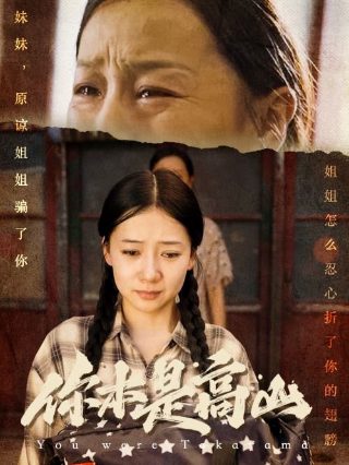 全球风暴票房