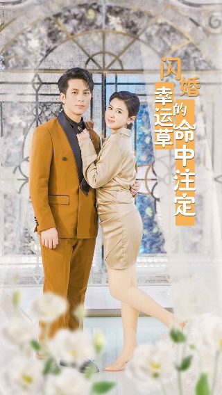 赘婿电视剧全集免费播放极速影院
