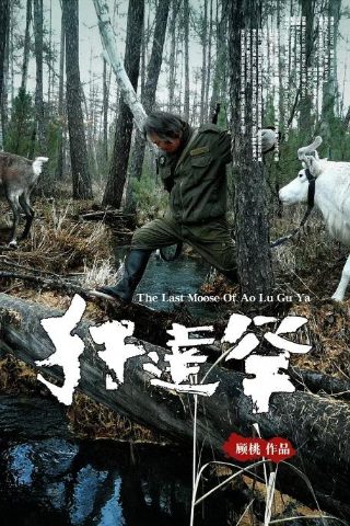 下一站婚姻第12集剧情介绍视频