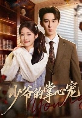 走火电视剧演员表角色介绍图片