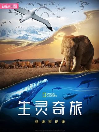 寻秦记tvb古天乐国语免费