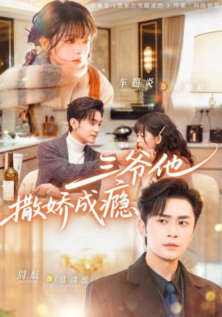 《伪装者》第十三集在线观看免费播放视频下载