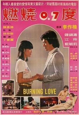 电影 完美敌人