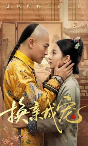 马迭尔的枪声