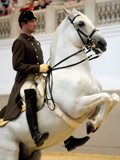 末日逃生第二季免费观看动漫