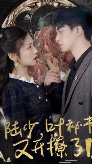 琅琊榜1至54集免费版央视完整