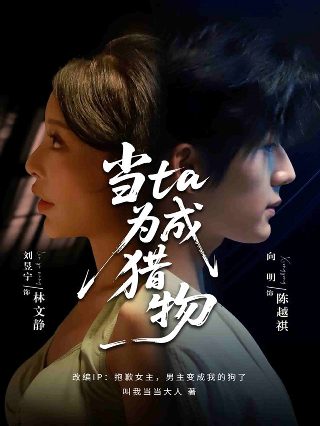 一枕风烟录短剧全集免费观看