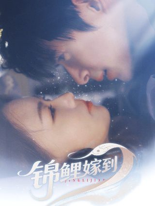 钢之炼金术师第二季