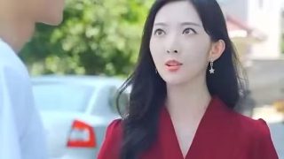 天上掉下个猪八戒1990版