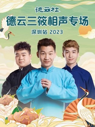 电视剧:王的女人