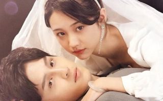 再生缘孟丽君传奇叶璇版