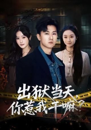 离婚女和小鲜肉电视剧