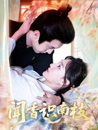 电影小姐原版在线播放视频下载