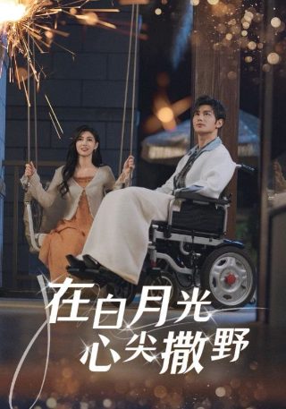 免费观看《国家干部》短剧全集高清