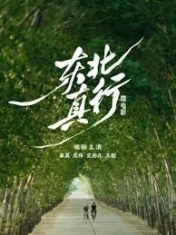 淘金年代电视剧下载