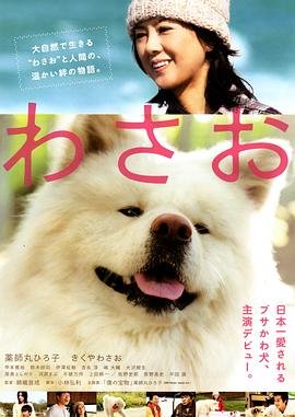 海豹突击队第六季免费播放全集