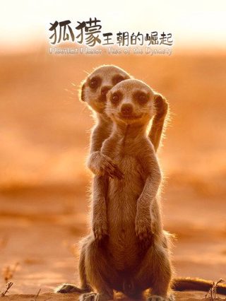 怒潮插曲《送别》简谱教唱图片大全