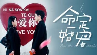 霸王别姬剧情解析大全