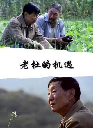 斗罗大陆第1季第165集在线观看